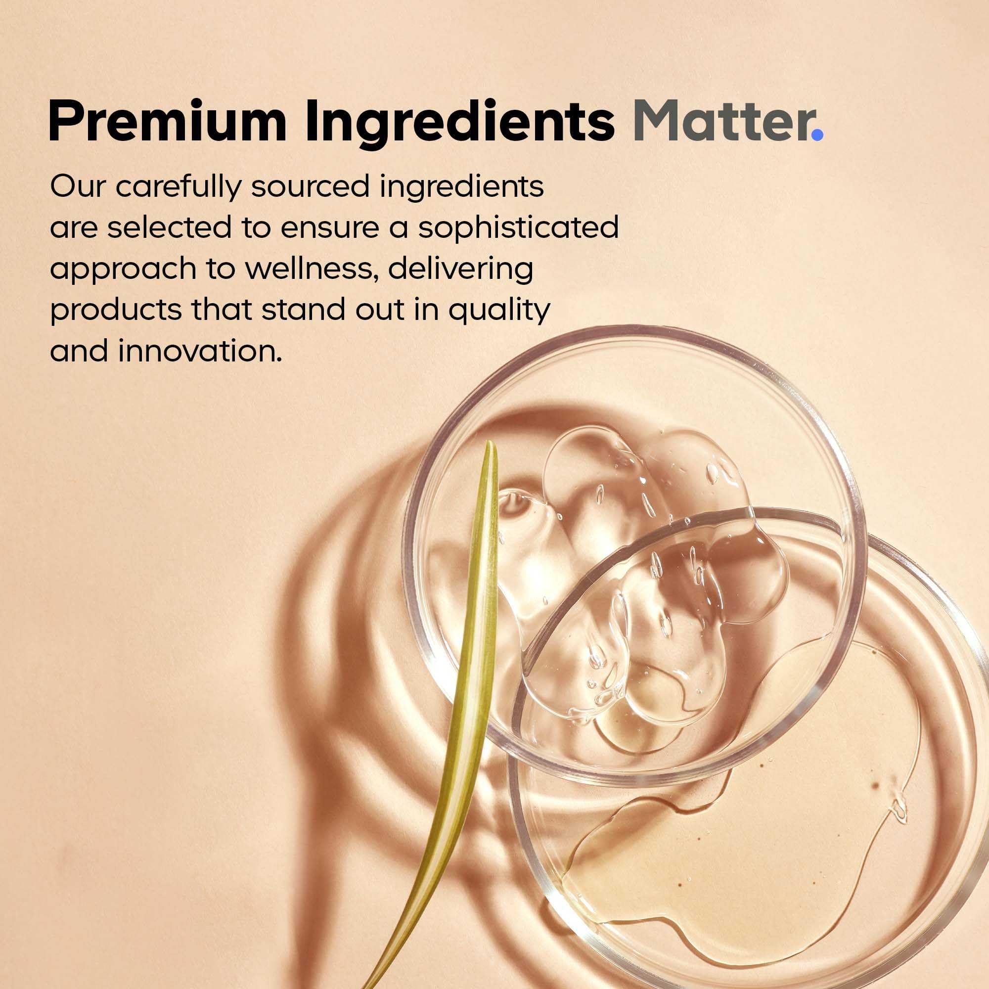 Codeage SBO Probiotics: 100 Billion CFUs, 6 Strains, Organic Fermented Botanicals, Shelf-Stable, 90 Capsules