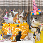 Colingmill 18 Pcs Cat Birthday Party Decorations — Animal Figure Cake Toppers & Mini Hats