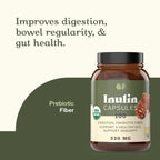 Complete Natural Products Organic Inulin Capsules – 520mg, 100 Pills, Organic Jerusalem Artichoke Inulin, Pack of 2