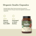 Complete Natural Products Organic Inulin Capsules – 520mg, 100 Pills, Organic Jerusalem Artichoke Inulin, Pack of 2