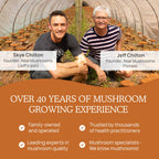 Real Mushrooms Cordyceps Capsules – Organic Cordyceps Militaris, 300 Vegan Capsules | 8% Beta-Glucans, Made in USA
