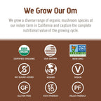 OM Mushroom Cordyceps Powder – Organic, Vegan, Non-GMO, Gluten-Free | Energy & Endurance Support