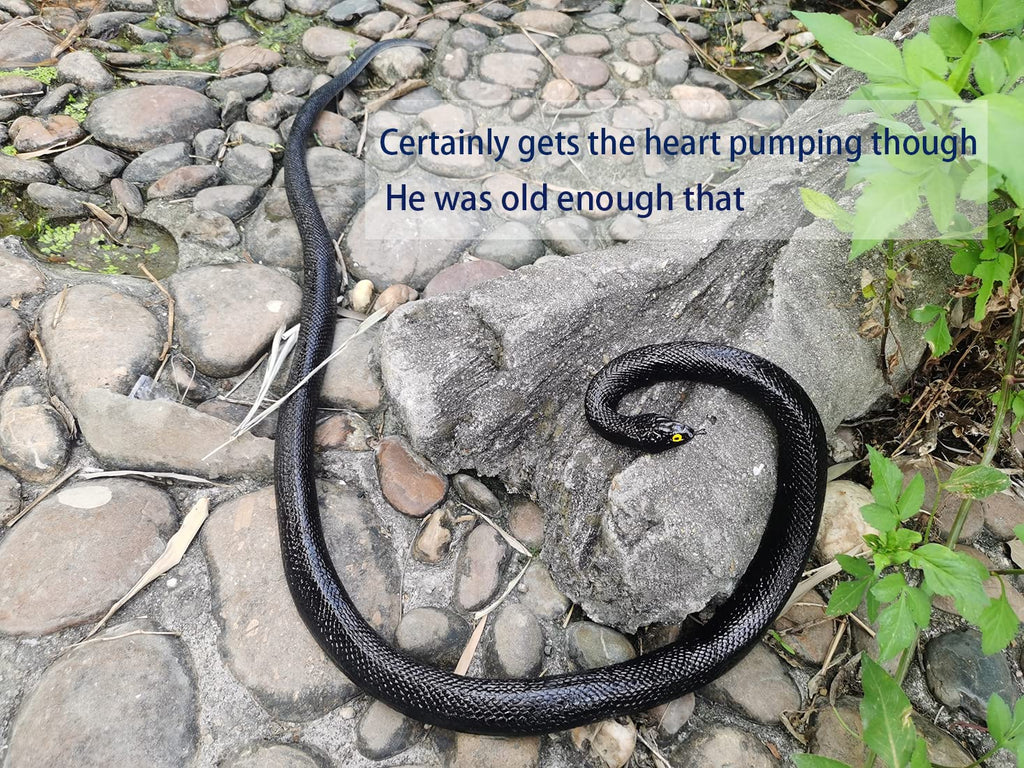 COTOSEY 53-Inch Rubber Snake – Realistic Fake Snake for Pranks, Halloween & Party Props