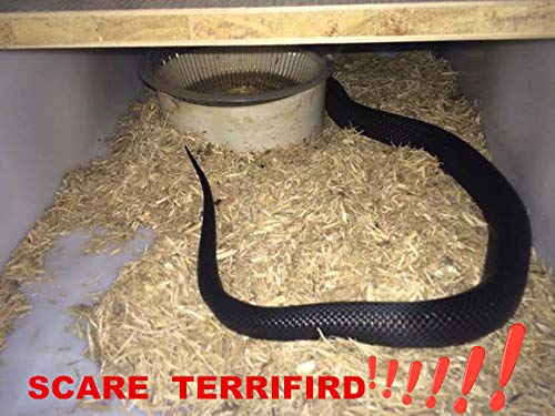 COTOSEY 53-Inch Rubber Snake – Realistic Fake Snake for Pranks, Halloween & Party Props