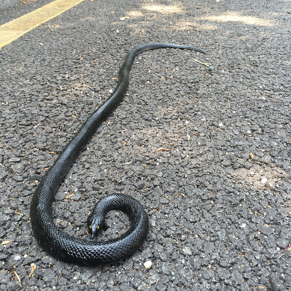 COTOSEY 53-Inch Rubber Snake – Realistic Fake Snake for Pranks, Halloween & Party Props