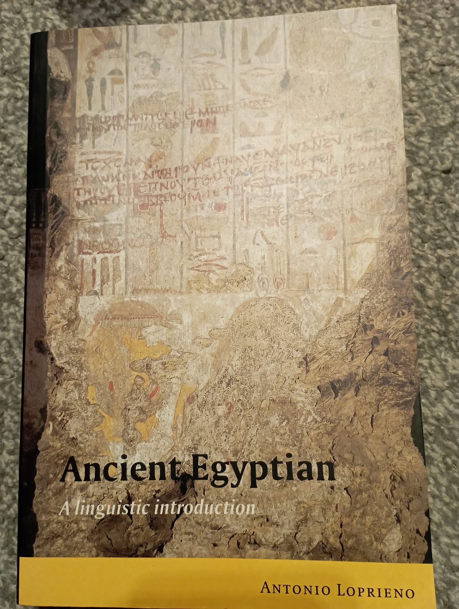 BOOK : ANCIENT EGYPTIAN by ANTONIO LOPRIENO
