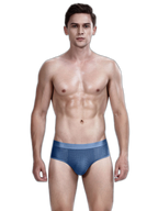 4 Pack Breathable Ice Silk Antibacterial Men's Briefs