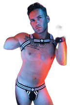Breedwell Daddys Favourite Bulldog Harness Black