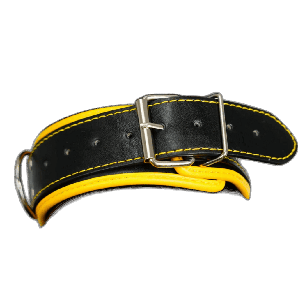 Harness, Cuff, Collar Bundle Yellow