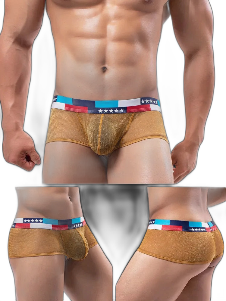 4-pack Low-rise Micro-mesh Boxer Briefs