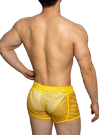 Loose Fit Sexy Mesh Boxers