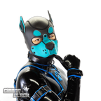 Standard Neoprene Pup Hood