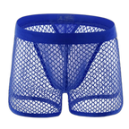 AllureFit Sexy Mesh Boxers Briefs