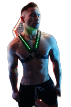 Breedwell Prismaglow Cross Harness