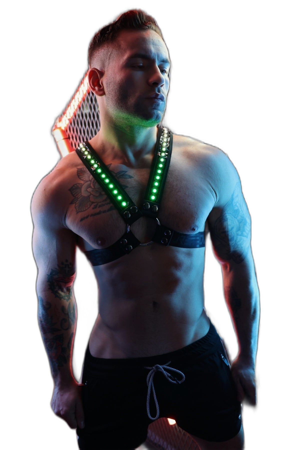 Breedwell Prismaglow Cross Harness