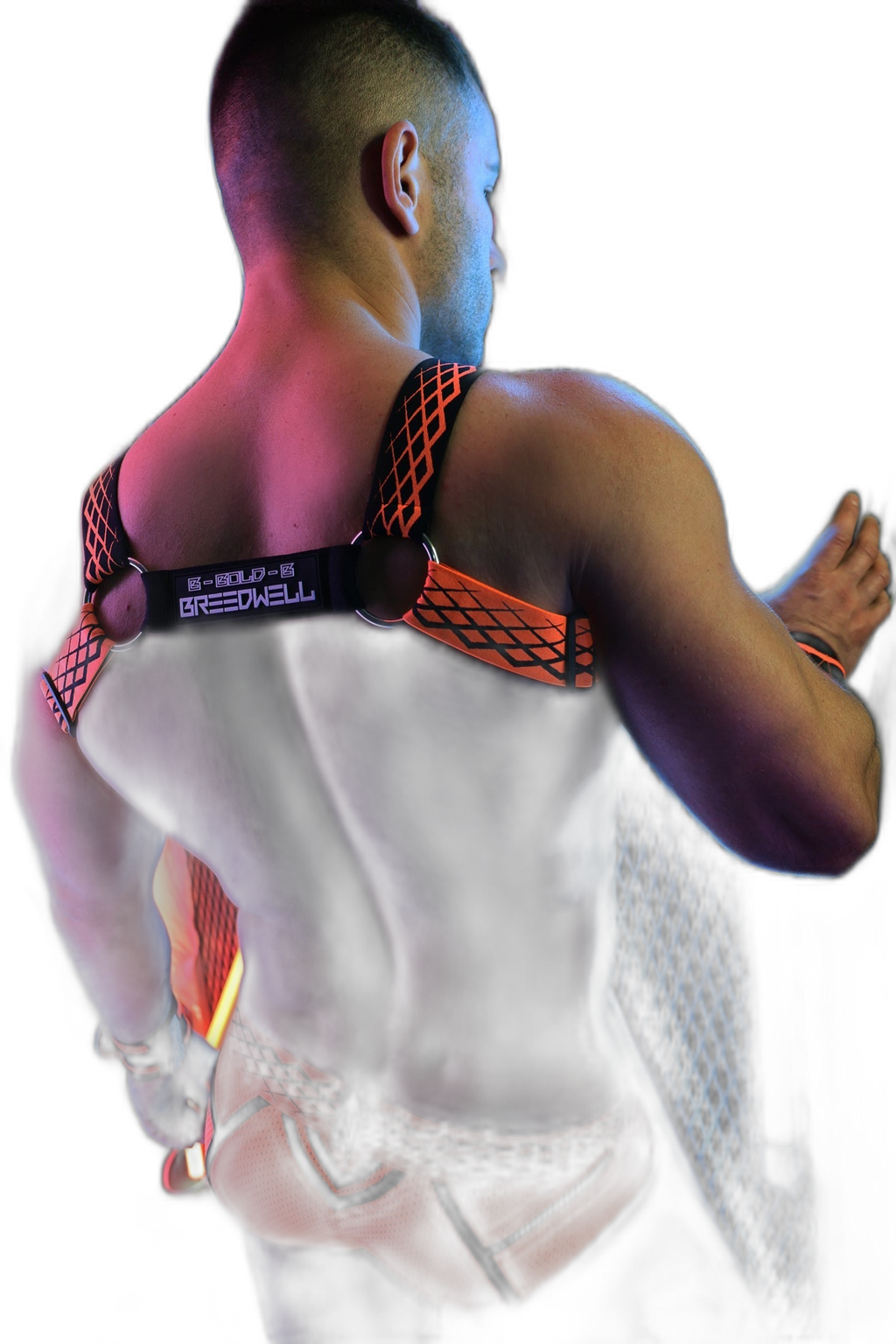 Breedwell Revolution Bulldog Harness Neon Orange