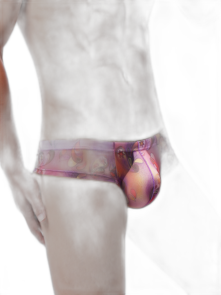 4-pack Men's Lace Print Sheer Mesh Bohemian Boxer Briefs