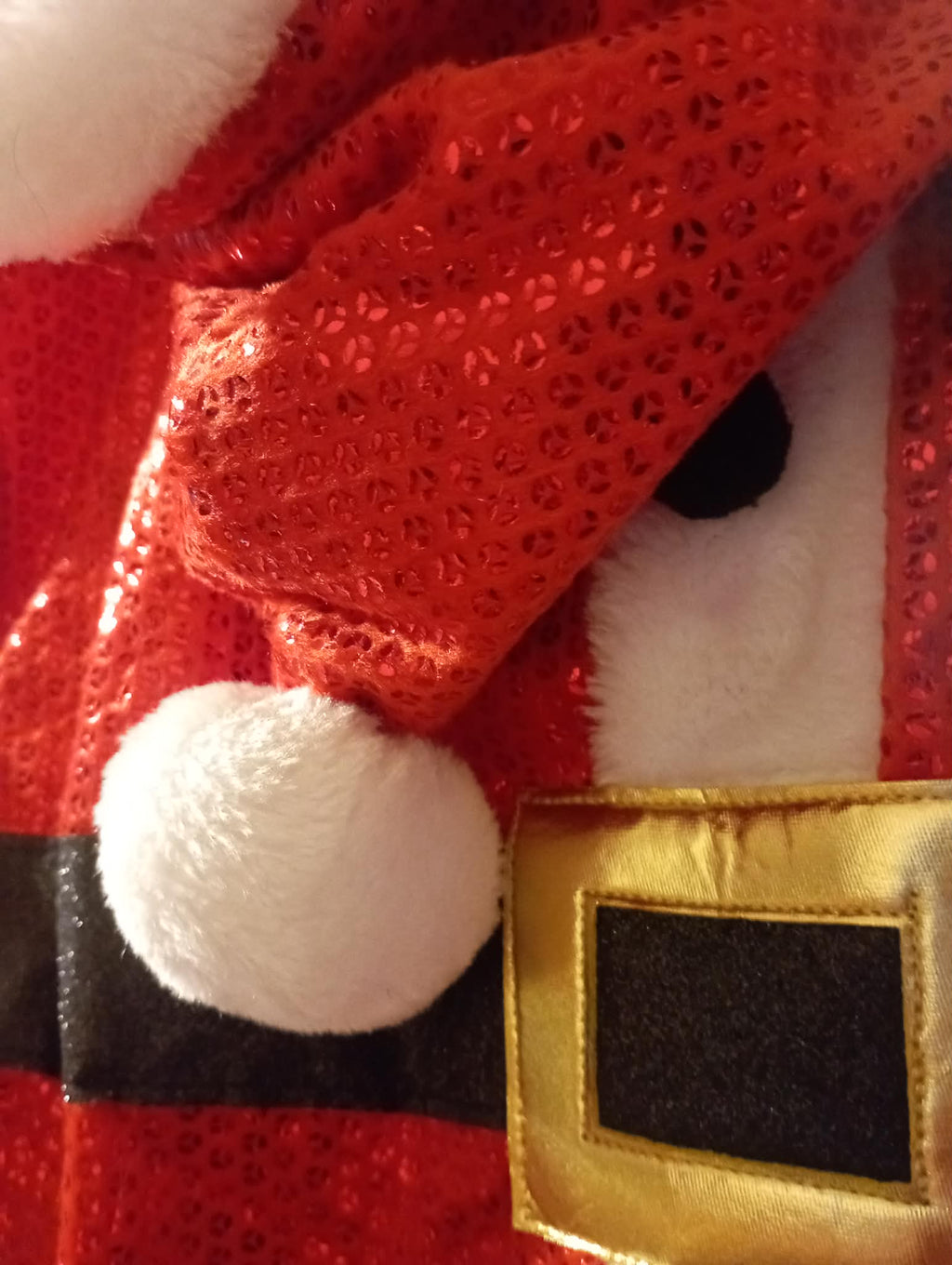 DOG FUN Santa Christmas Dress up costume