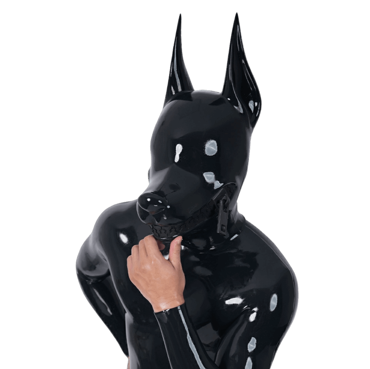 Furrjoi Zipper Dog Hood Black
