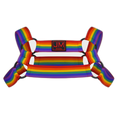 Rainbow Elastic Harness