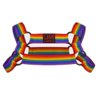 Rainbow Elastic Harness
