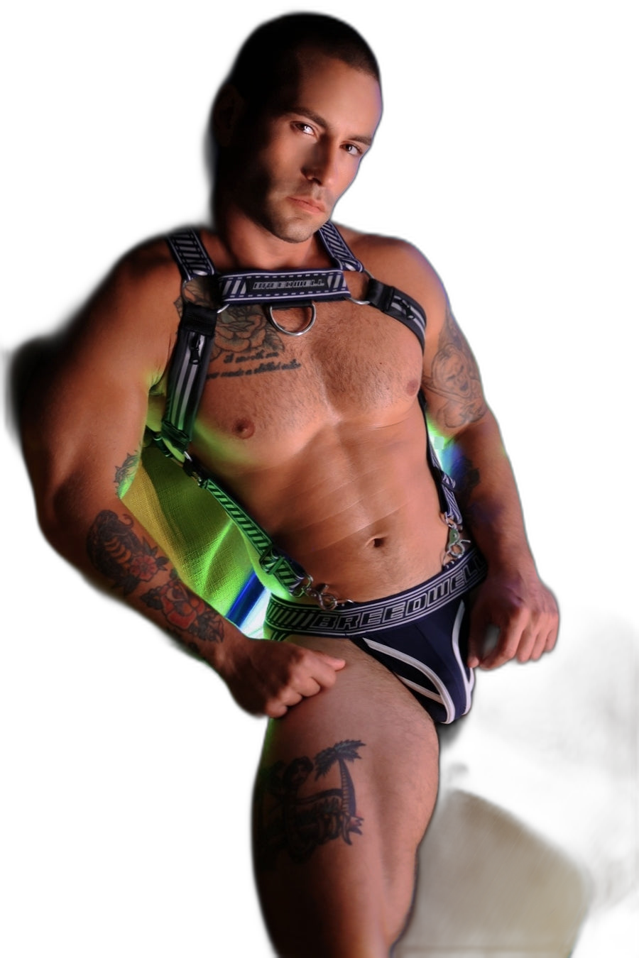 Breedwell Gymnetixxx Body Harness Navy