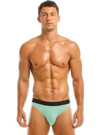 4 Pack Ice Silk Seamless Men's Briefs