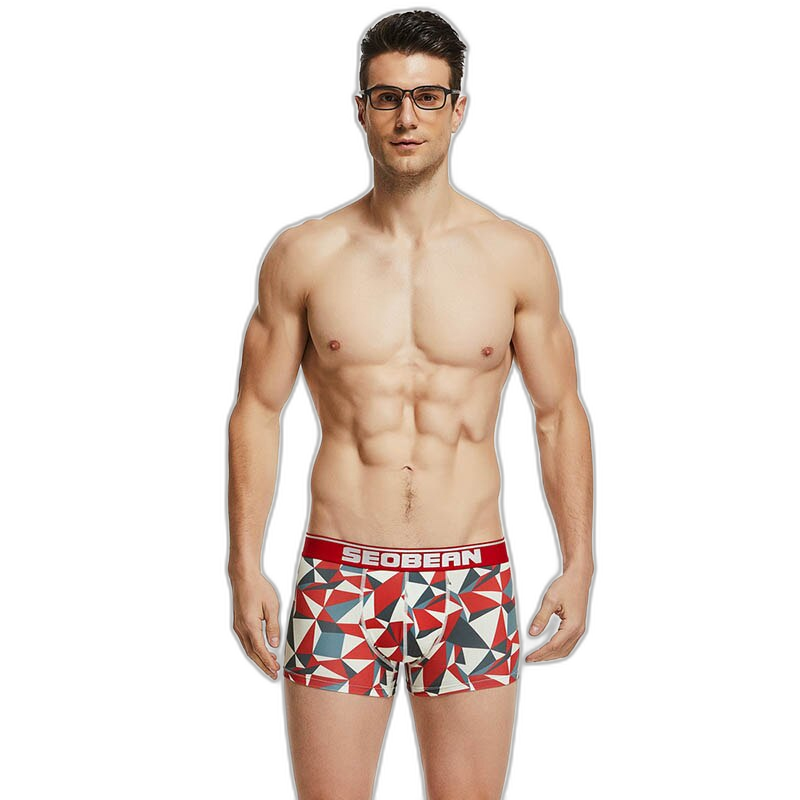 Seobean Geometric Boxers