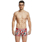 Seobean Geometric Boxers