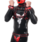 Furrjoi Harness, Cuff, Collar, Lead Underwear Bundle Red