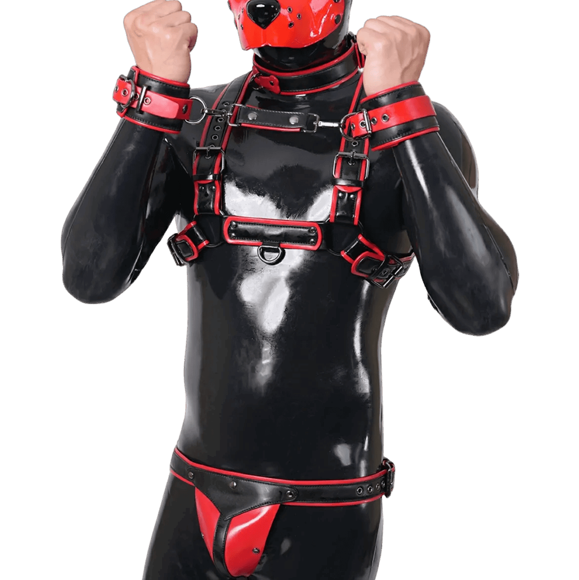 Furrjoi Harness, Cuff, Collar, Lead Underwear Bundle Red