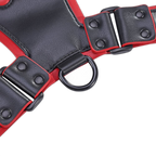 Juliettoys Zevar - Bulldog Harness - BDSM & Roleplay