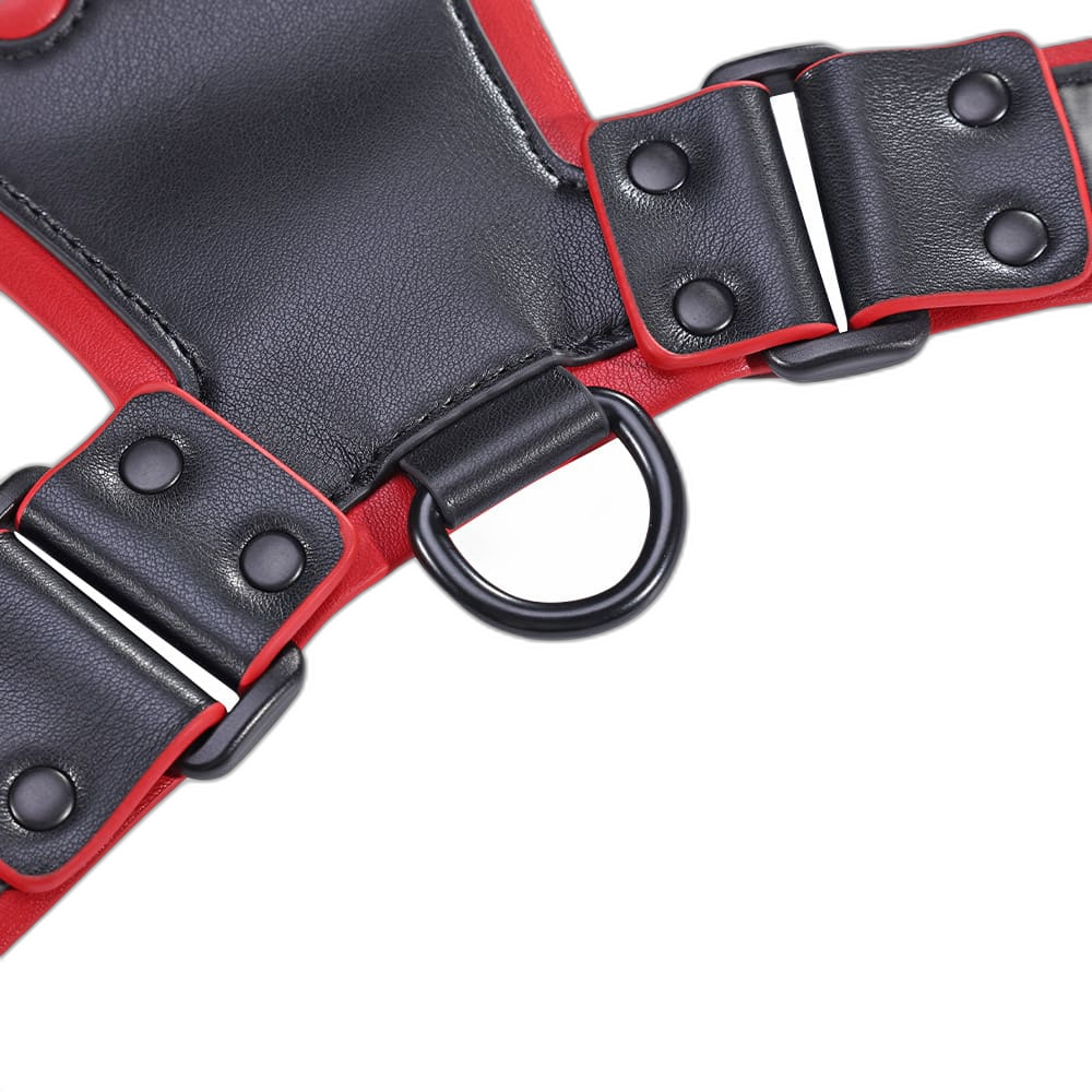 Juliettoys Zevar - Bulldog Harness - BDSM & Roleplay