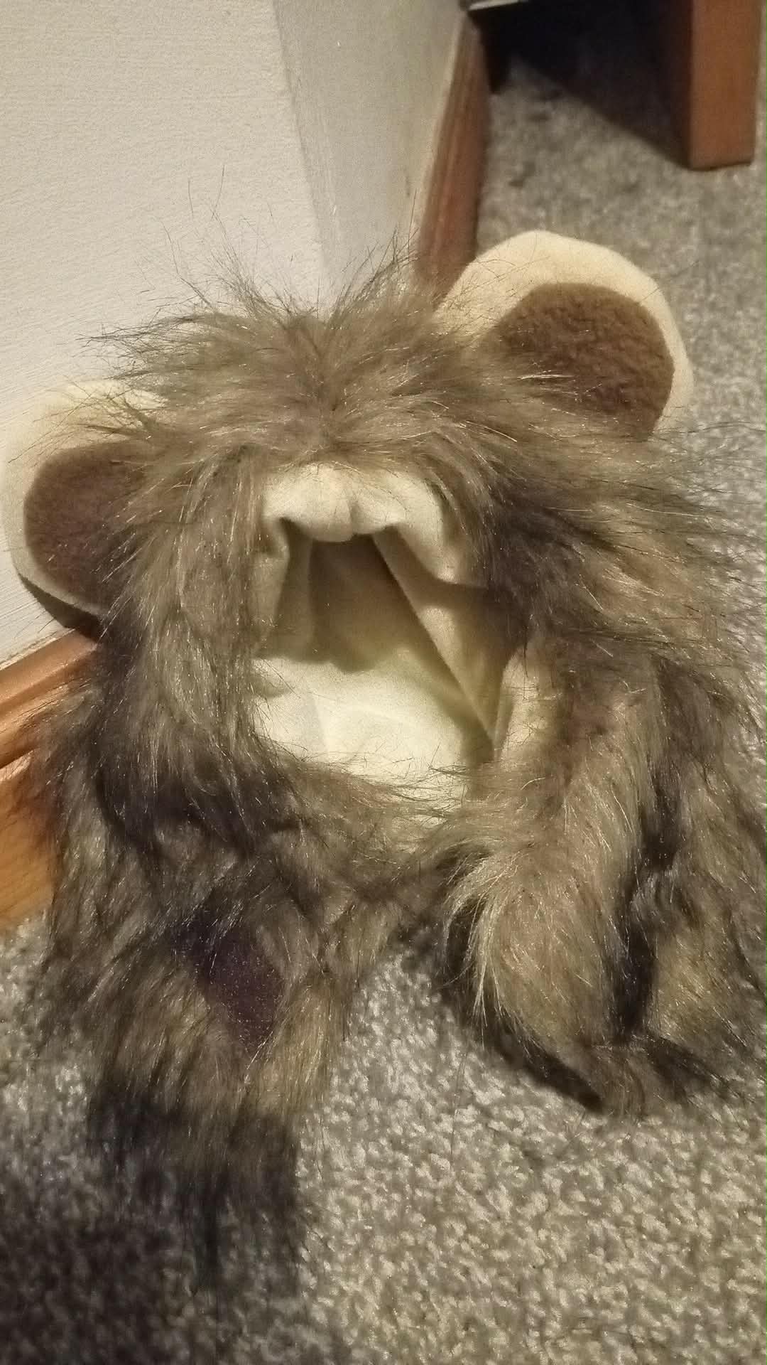 CAT FUN small hat with fur and ears