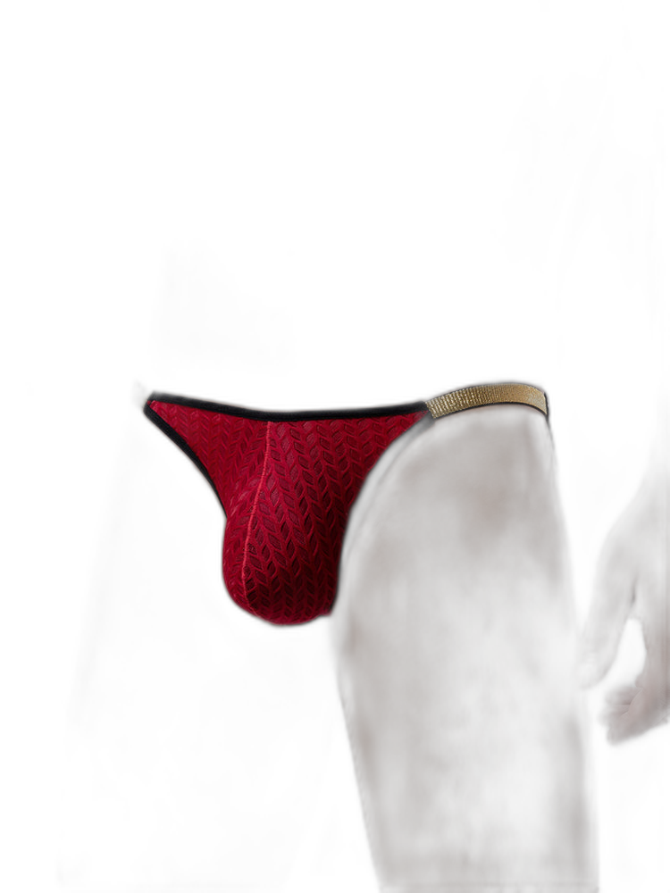 3 Pack Men's Sexy Low-Rise Hip-Lifting Briefs