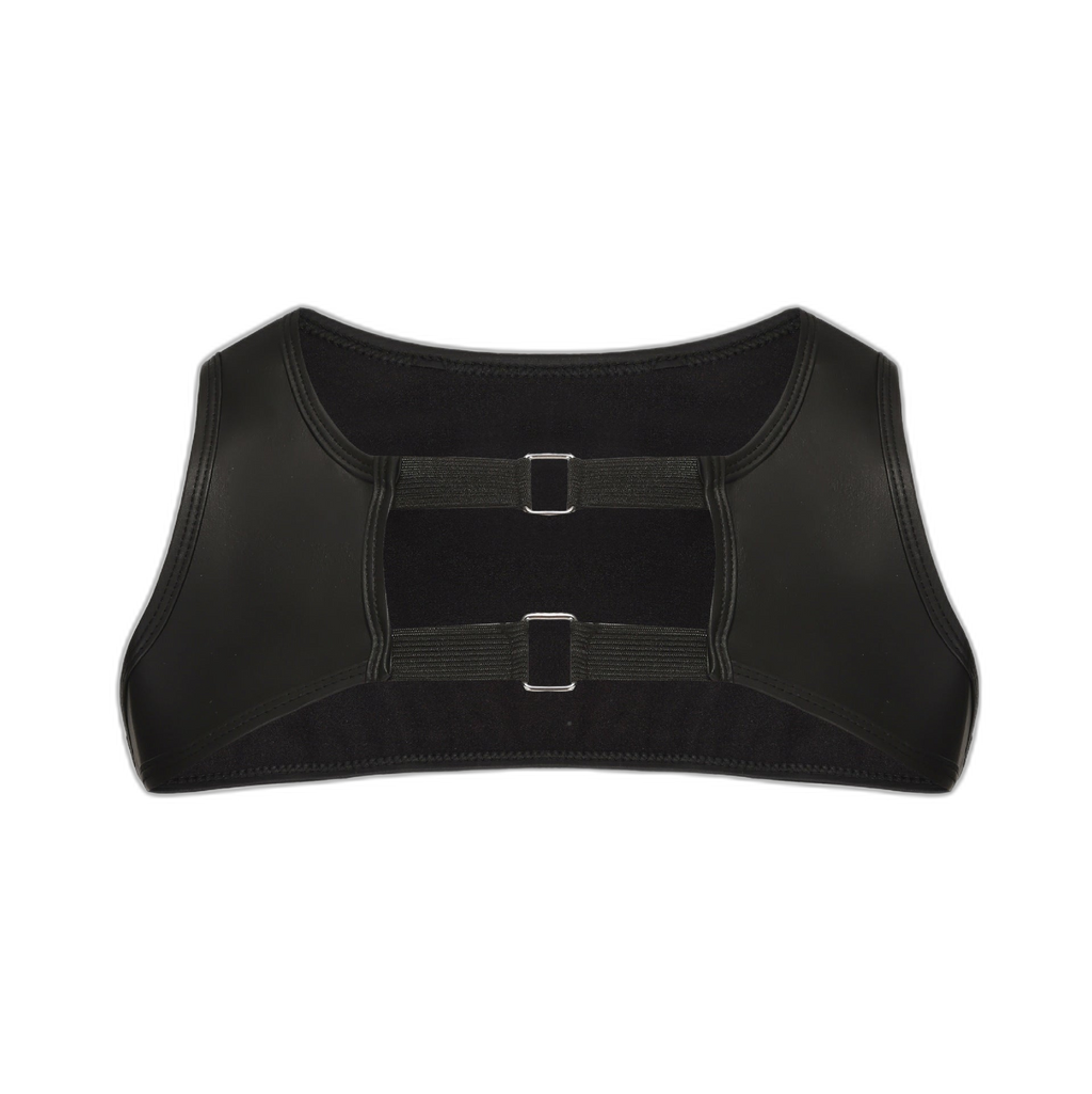Twin Buckle Leather Harness