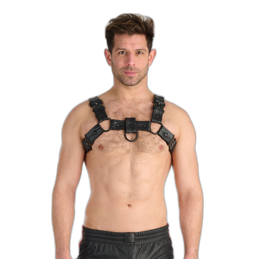 Prowler RED Leather Bull Harness With Metal Fittings Black