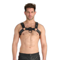 Prowler RED Leather Bull Harness With Metal Fittings Black