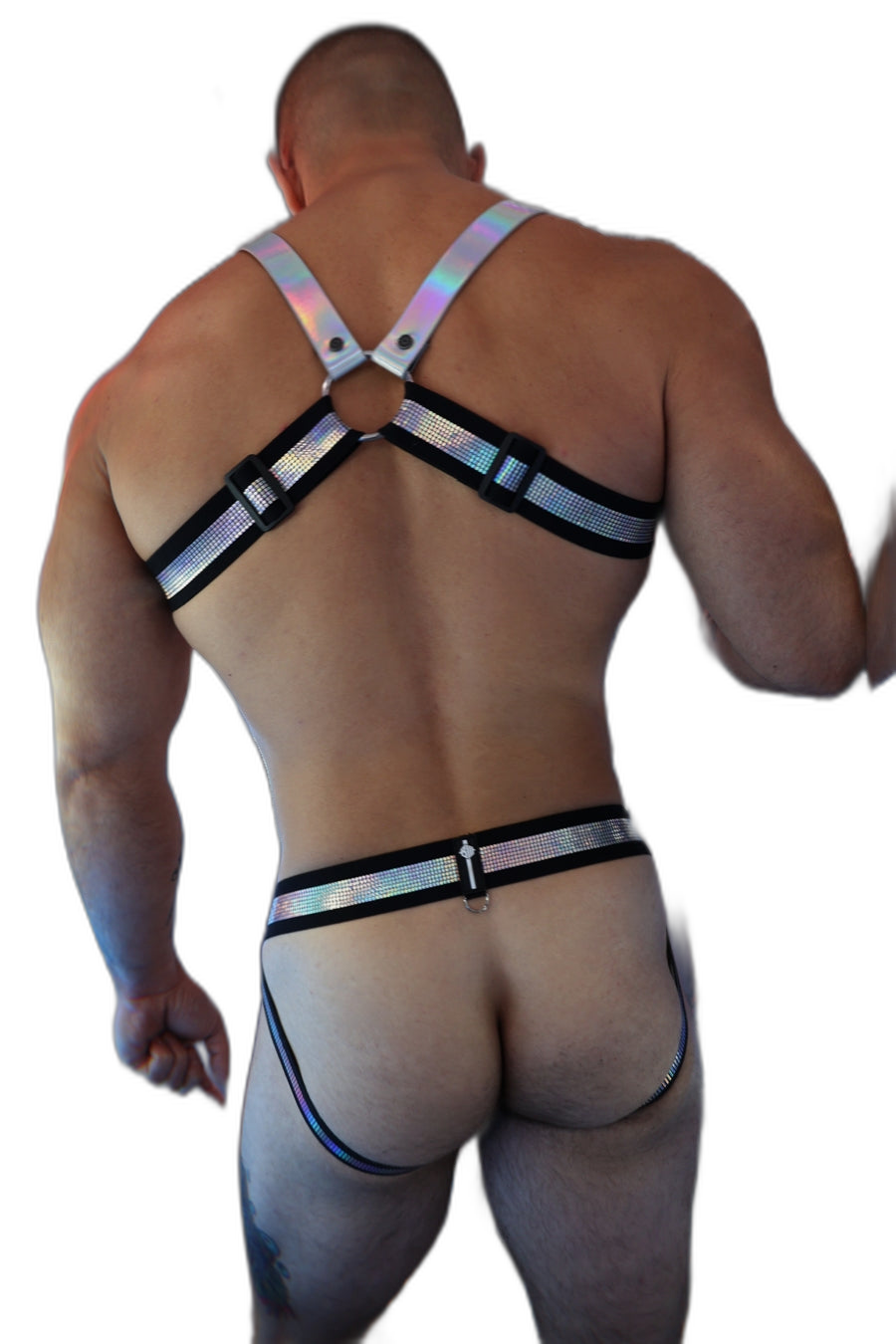 Breedwell Illuminator Bulldog Harness Holo