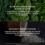The Genius Brand Daily Superfood Greens - Organic Pineapple Powder, 30 Servings