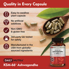 DailyNutra KSM-66 Ashwagandha 600mg Organic Root Extract | High Potency 270 Capsules