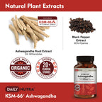 DailyNutra KSM-66 Ashwagandha 600mg Organic Root Extract – High Potency 5% Withanolides (60 Capsules)
