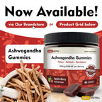 DailyNutra KSM-66 Ashwagandha 600mg Organic Root Extract - High Potency Supplement with 5% Withanolides | Relieves Tiredness, Supports Relaxation, Focus, Energy, & Muscle Growth (90 Capsules)