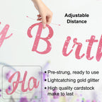Danadia Pre-Strung Happy Birthday Banner – Pink Floral Garland with Circle Dot Accents