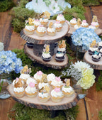 DAYIMG 48 Pcs Classic Winnie Cupcake Toppers – Pooh Baby Shower & First Birthday Party Decor
