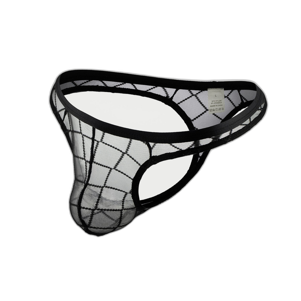 Sheer Lattice Mesh Thong