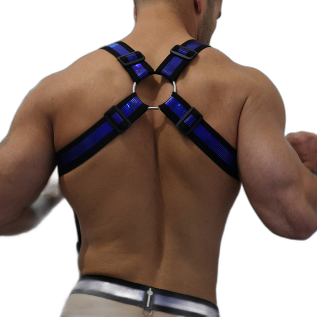 Breedwell Illuminator Body Harness Blue Holo