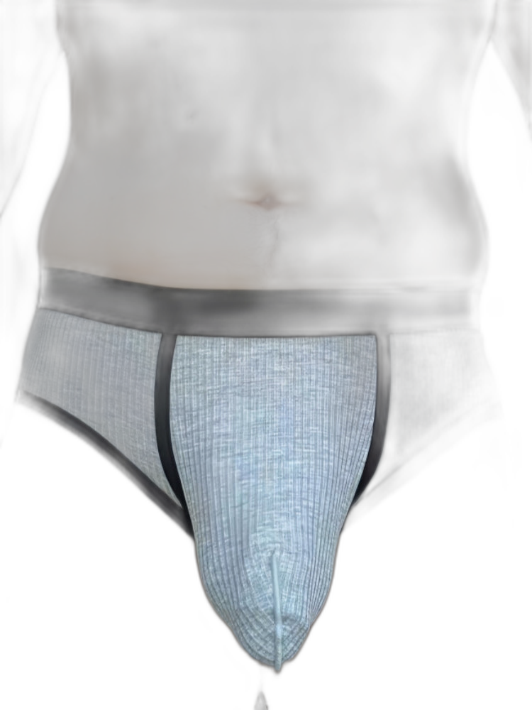 3 Pack Men's Seamless Comfort Large Supportive Pouch Sexy Low-Rise Briefs