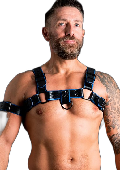 ruff GEAR Double Tone Leather Bulldog Harness Blue Black