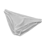 GX Low Waist Briefs